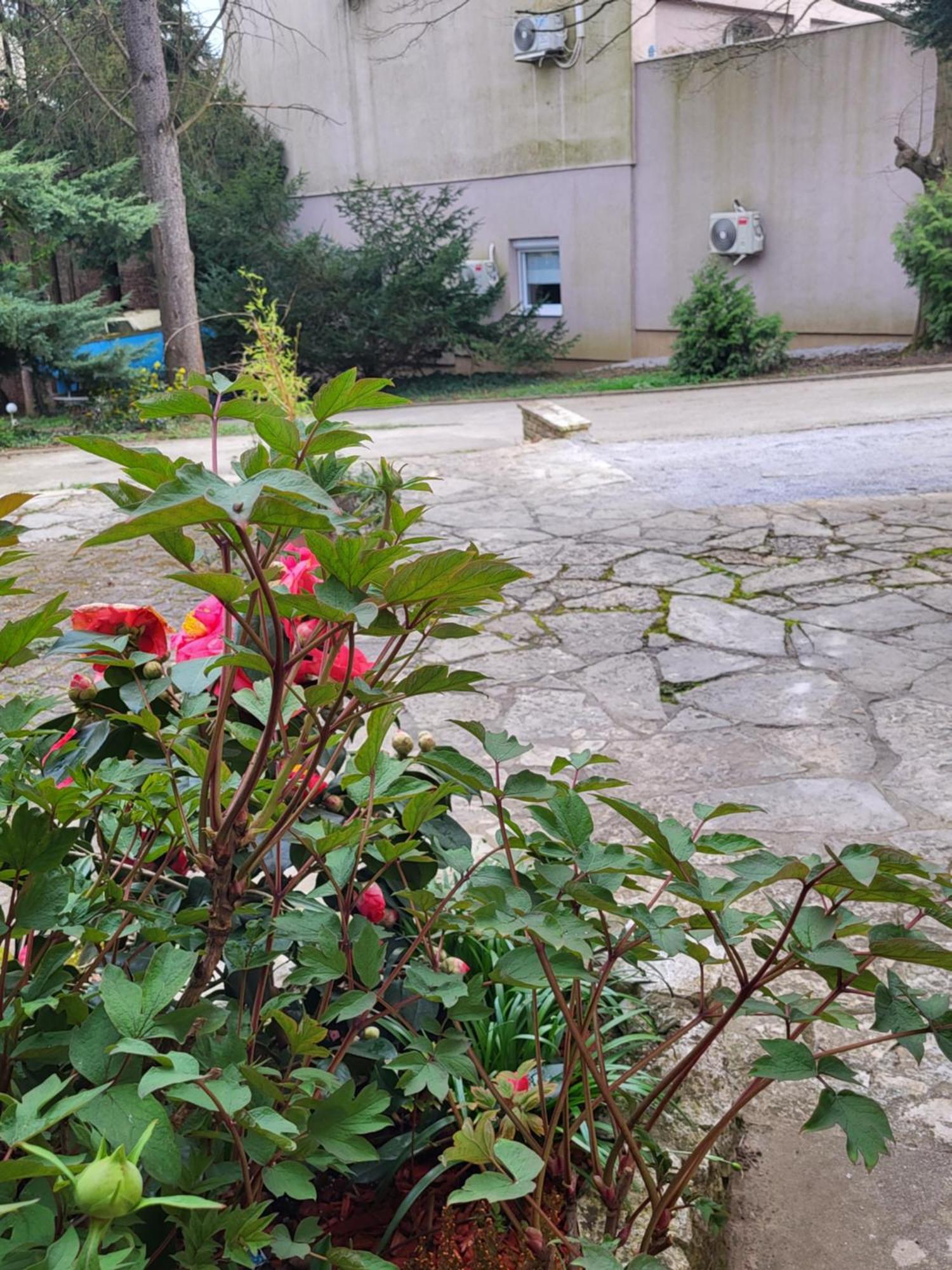 Villa Vino & Grad Загреб Екстериор снимка