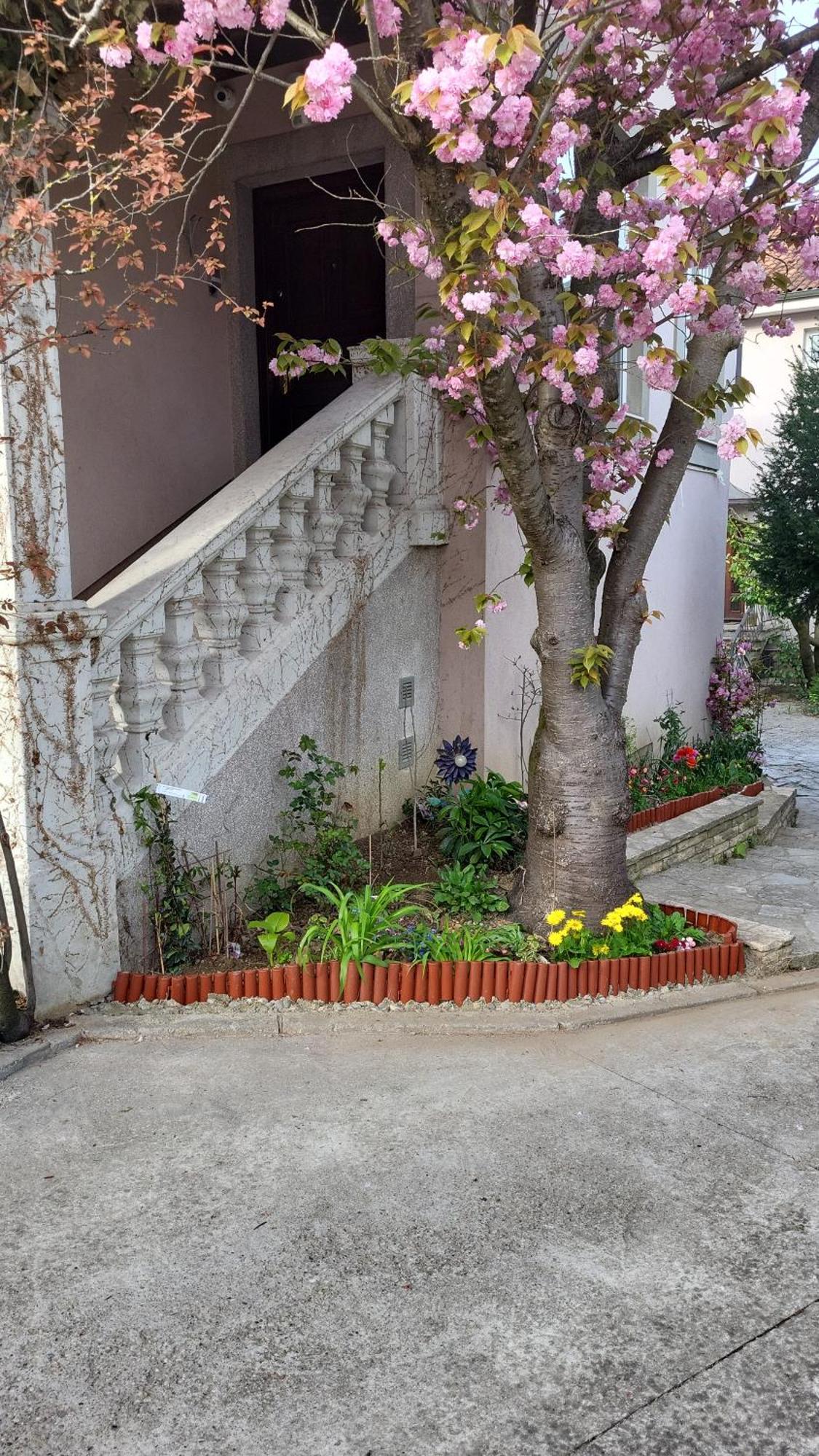 Villa Vino & Grad Загреб Екстериор снимка