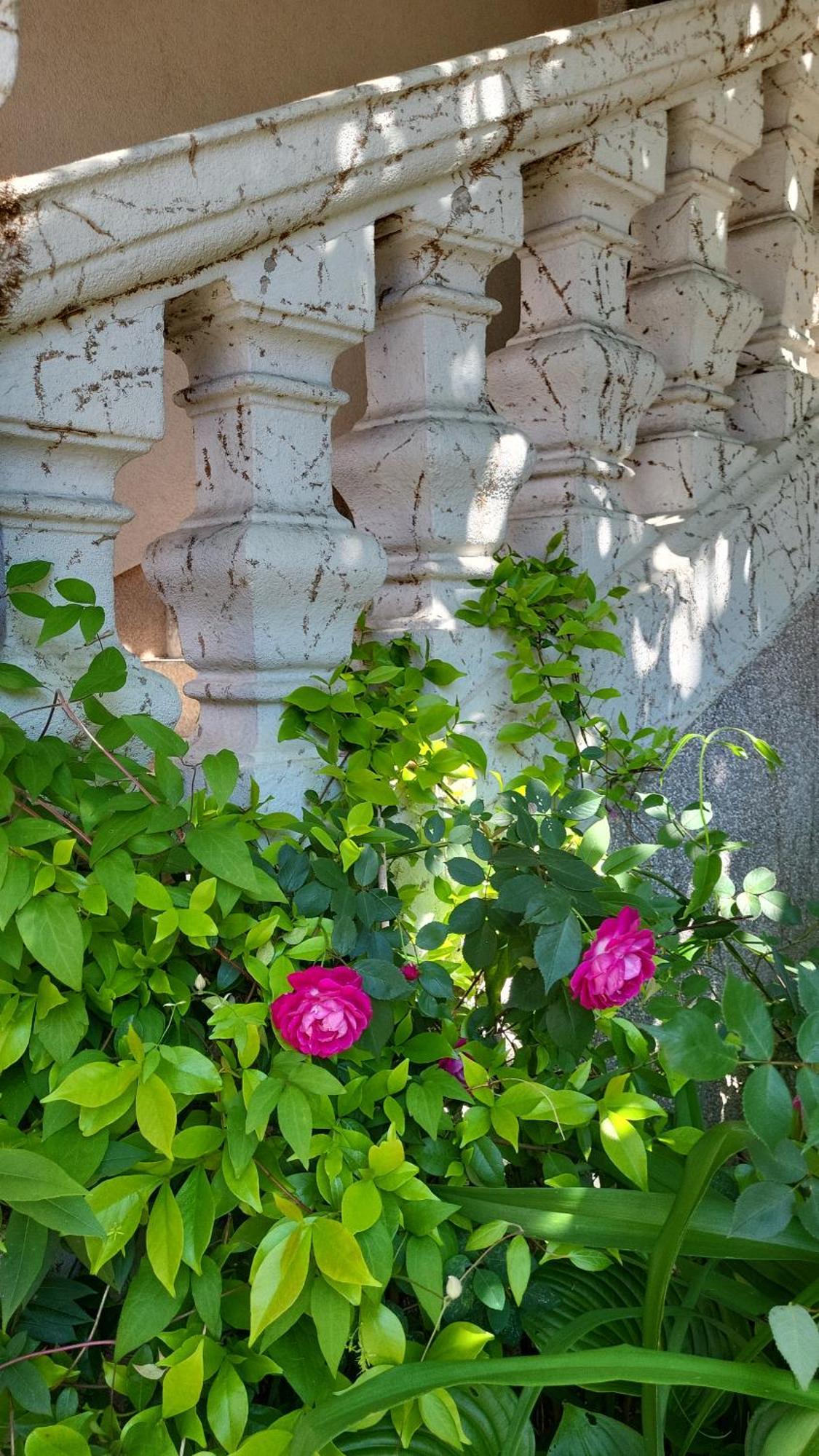 Villa Vino & Grad Загреб Екстериор снимка